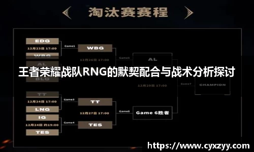 王者荣耀战队RNG的默契配合与战术分析探讨